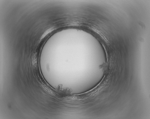 X0000115741450200912031417