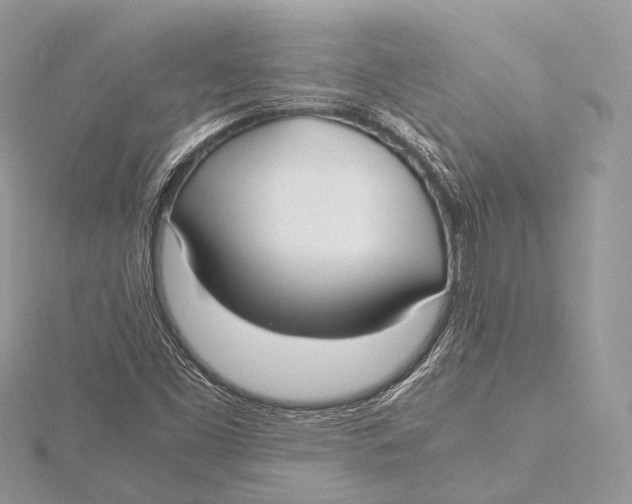 X0000115741453200912031417