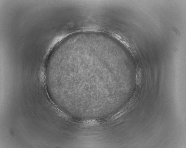 X0000115741454200912031417