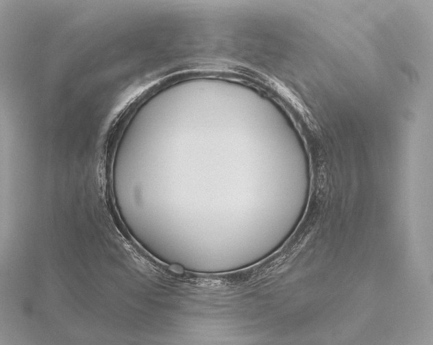 X0000115741456200912031417