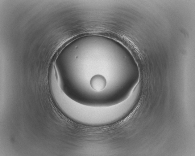 X0000115741457200912031417