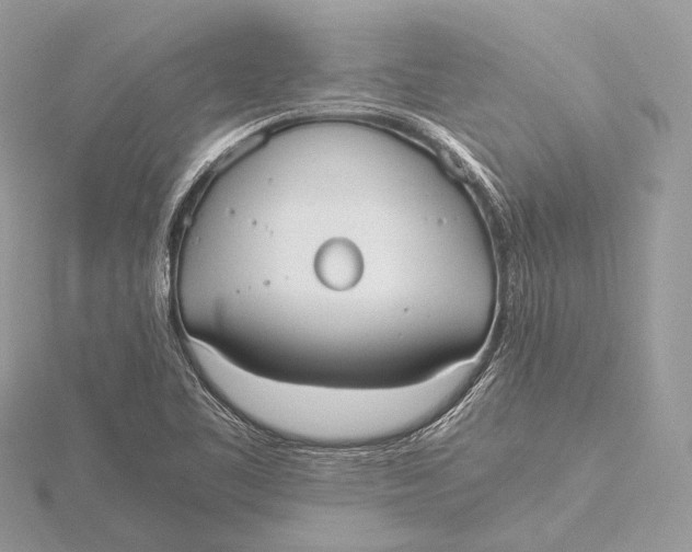 X0000115741461200912031417