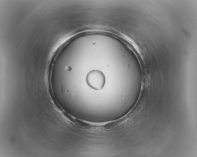 X0000115741464200912031417