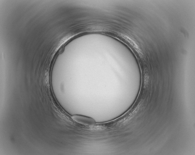 X0000115741465200912031417