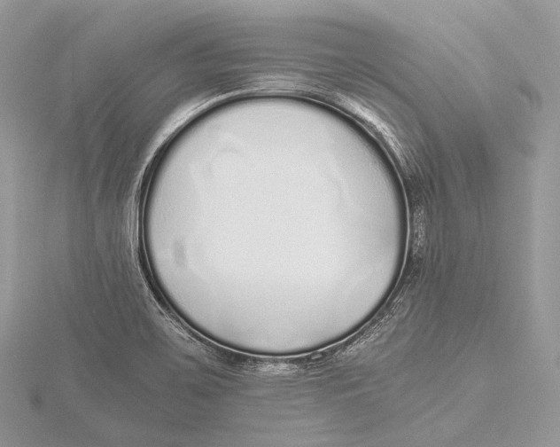 X0000115741467200912031417