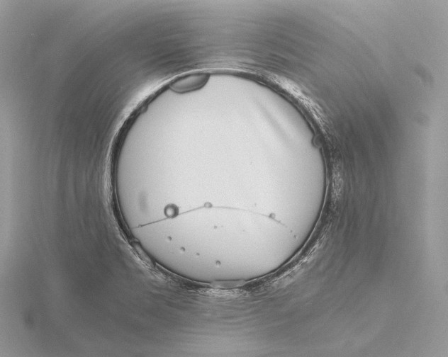 X0000115741469200912031417