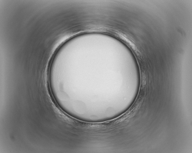 X0000115741471200912031417