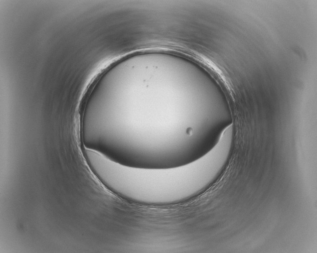 X0000115741472200912031417