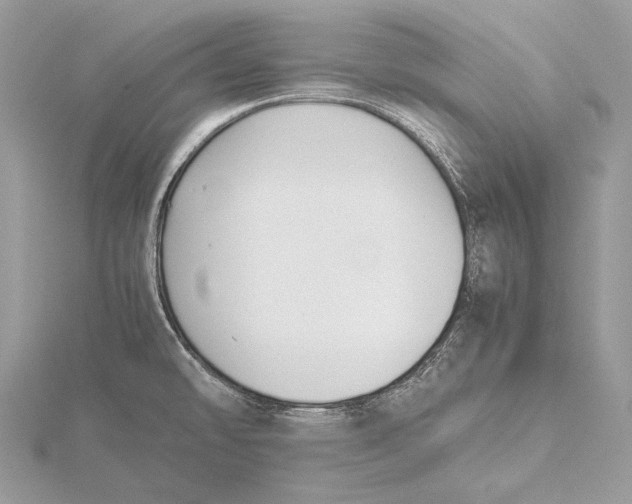 X0000115741478200912031417