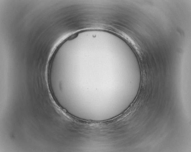 X0000115741480200912031417