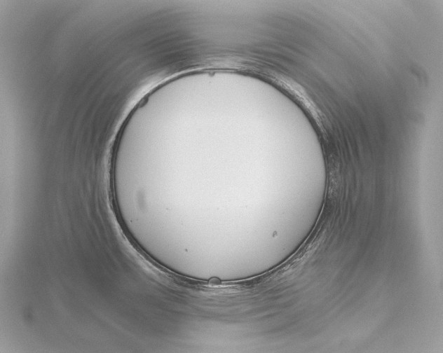 X0000115741483200912031417