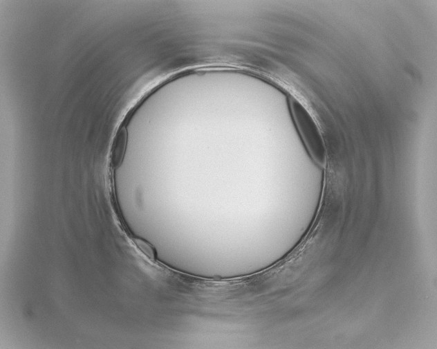 X0000115741485200912031417