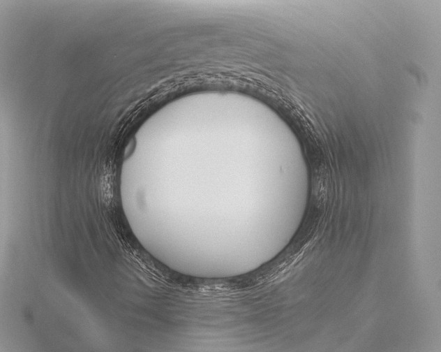 X0000115741490200912031416