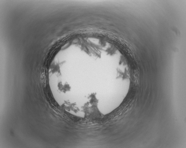 X0000115741493200912031416