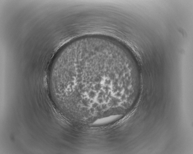 X0000115741497200912031416