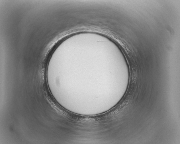 X0000115741503200912031416