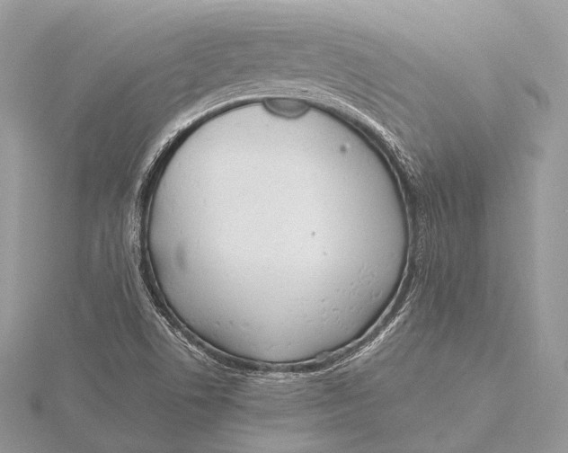 X0000115741506200912031416