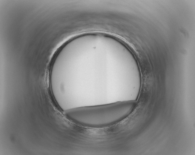 X0000115741510200912031416