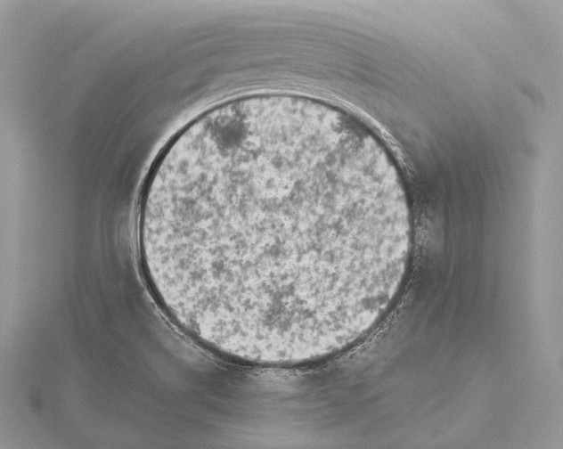 X0000115741514200912031416