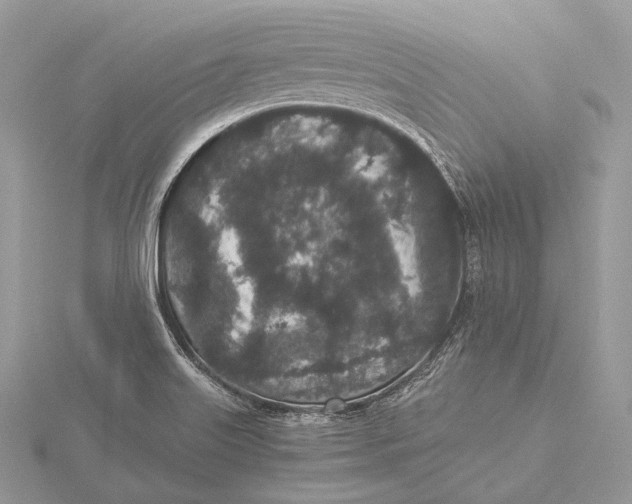 X0000115741515200912031416