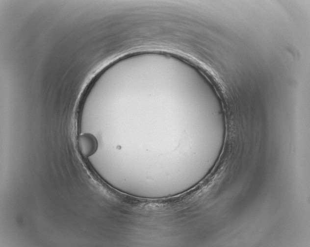 X0000115741517200912031416