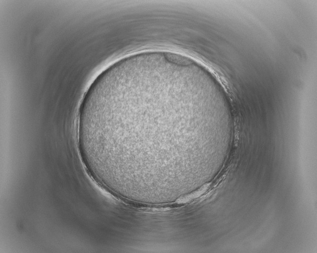 X0000115741519200912031416