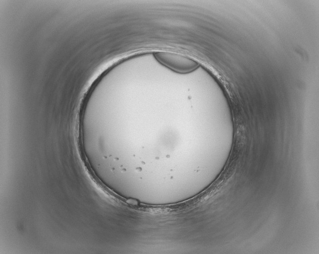 X0000115741523200912031416