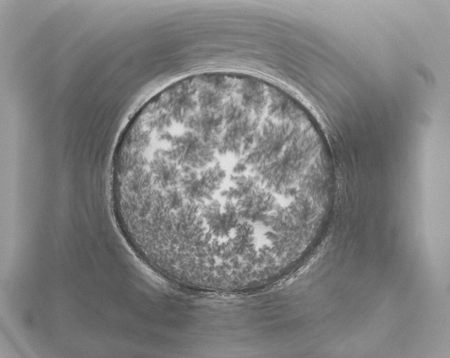 X0000115741525200912031416