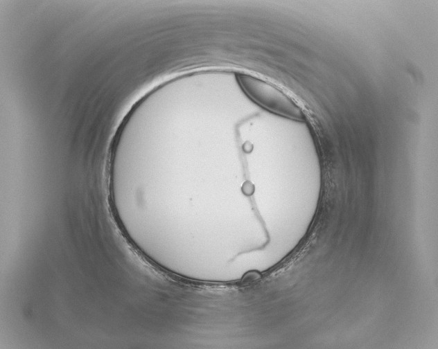 X0000115741526200912031416