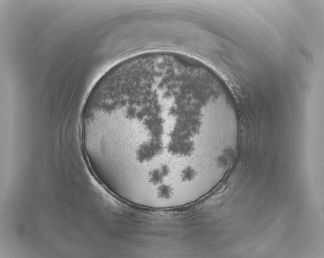 X0000115741527200912031416