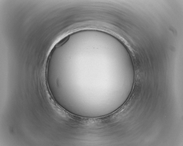 X0000115741530200912031417