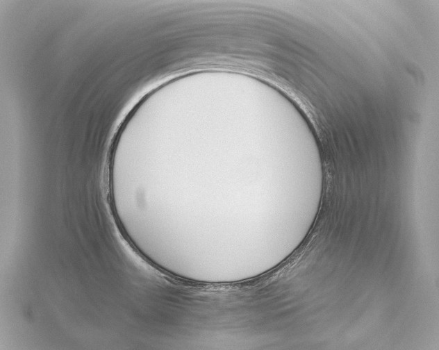 X0000115741531200912031417