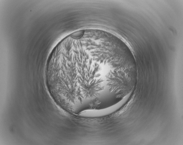 X0000115741533200912031417