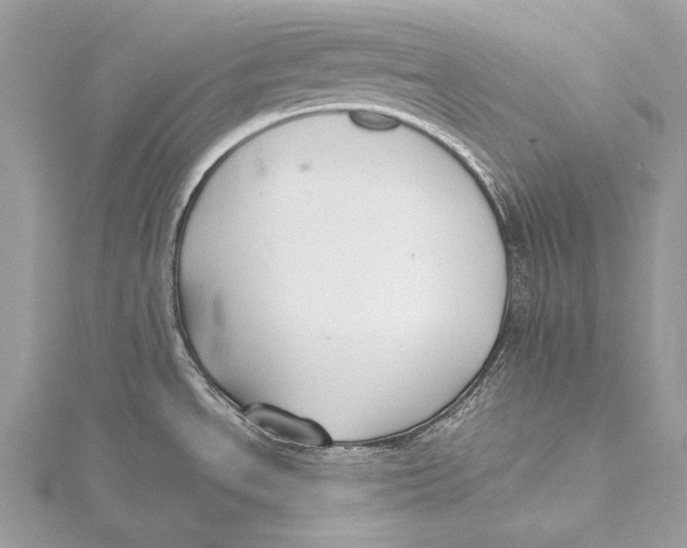 X0000115741534200912031417