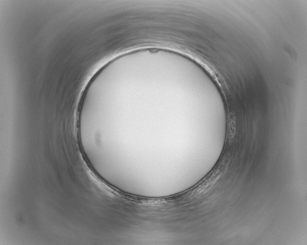 X0000115741535200912031417