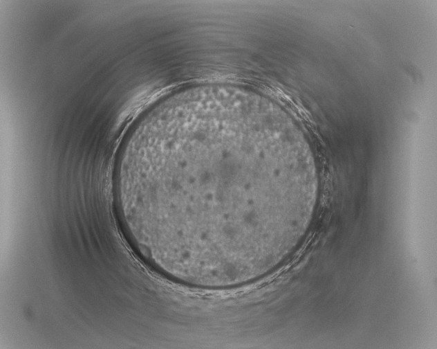 X0000115740002200912101325