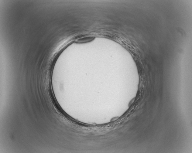 X0000115740005200912101325