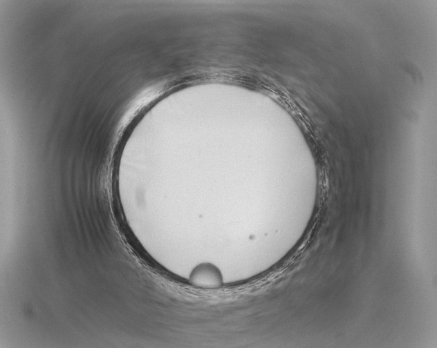 X0000115740006200912101325