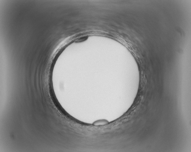 X0000115740007200912101325