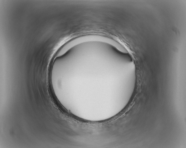 X0000115740008200912101325