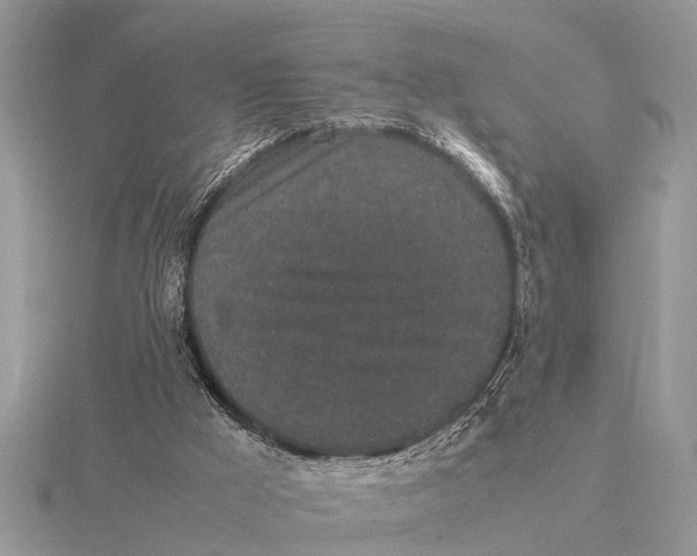 X0000115740009200912101325