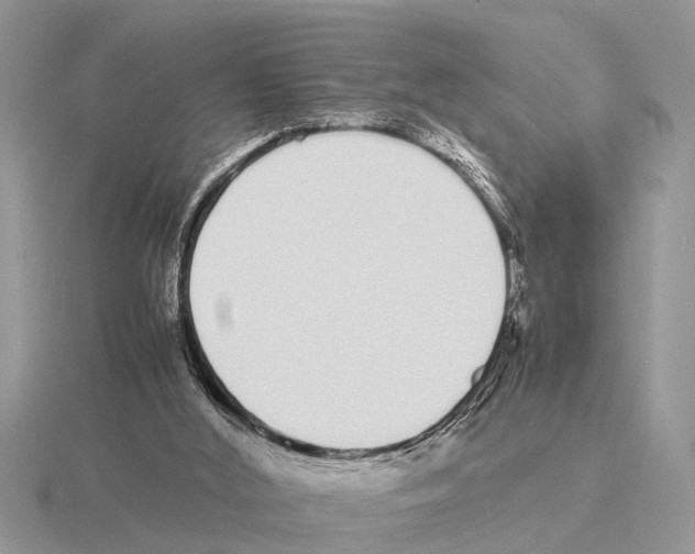 X0000115740012200912101325