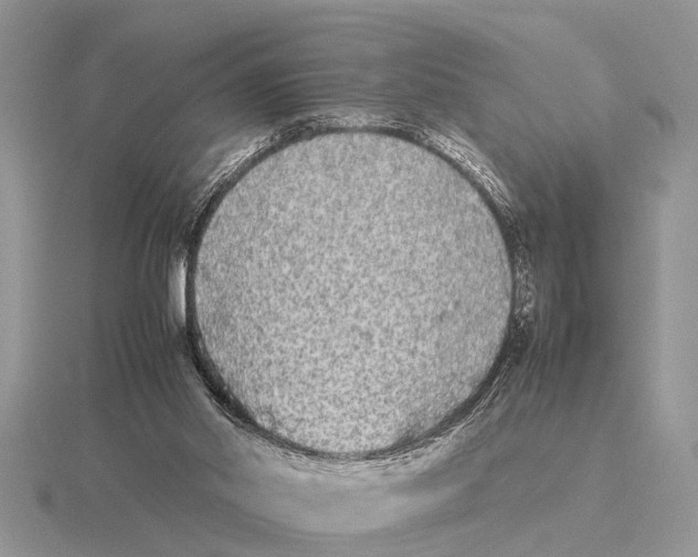 X0000115740014200912101324