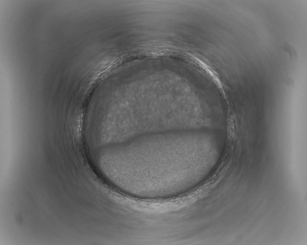 X0000115740018200912101324