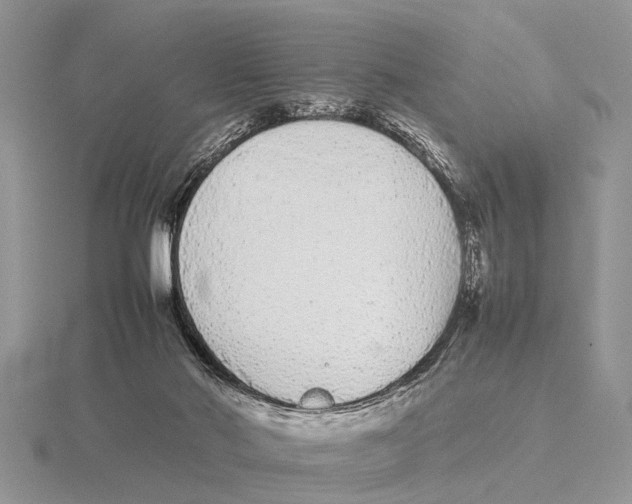 X0000115740022200912101324