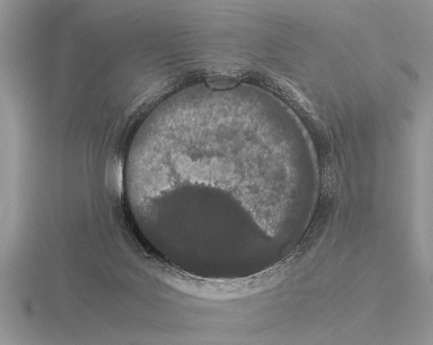 X0000115740027200912101324