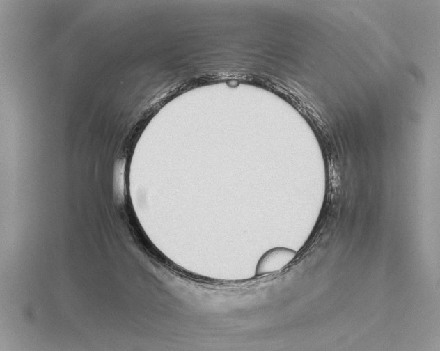 X0000115740028200912101324