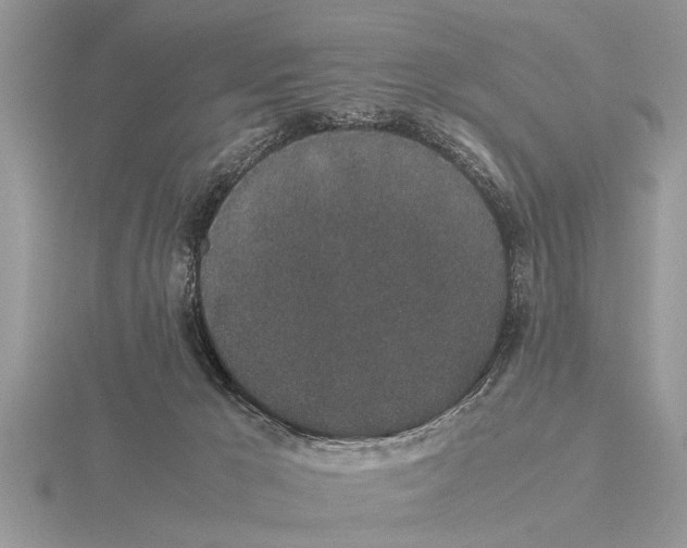 X0000115740029200912101324