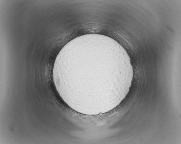 X0000115740030200912101324