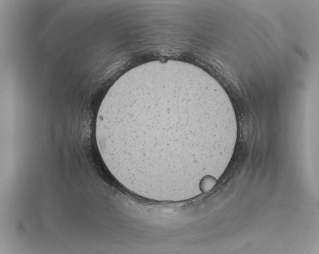 X0000115740032200912101324